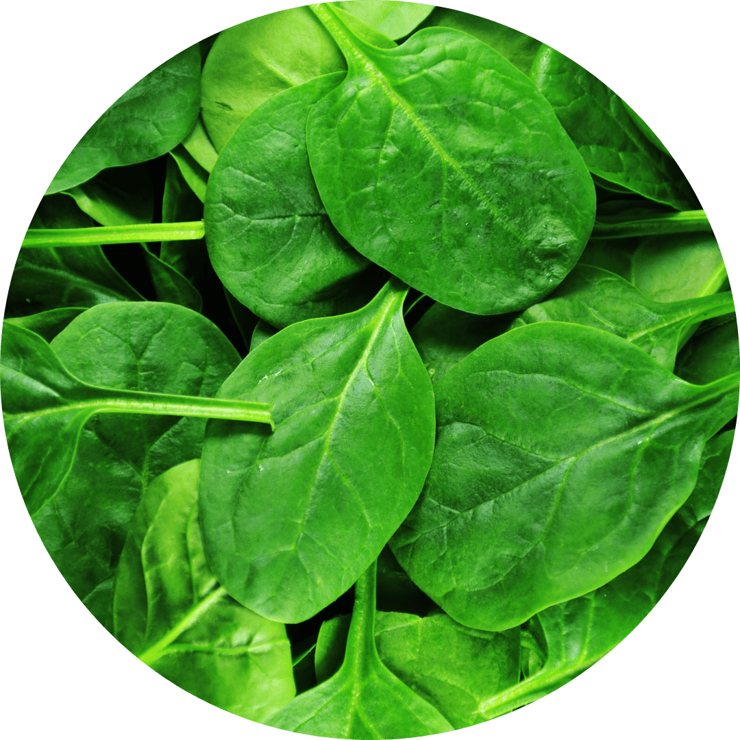 Spinach